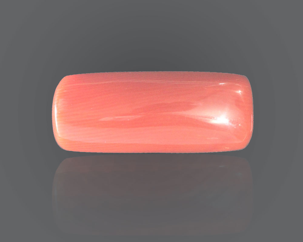 Red coral wholesale deals